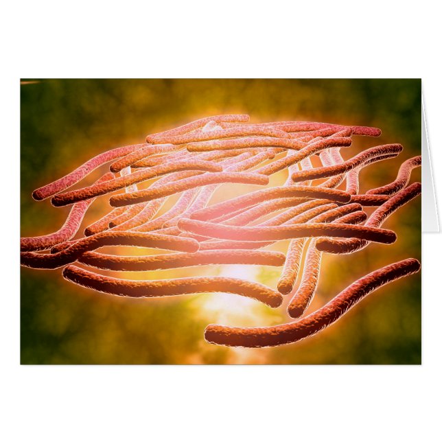 Vista Microscópica De La Legionella Pneumophila 2 (Anverso (Horizontal))