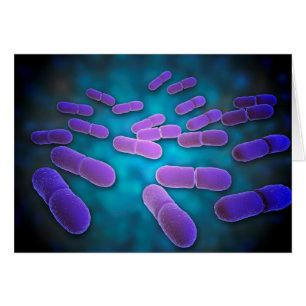 Vista microscópica de la listeriosis Monocytogene