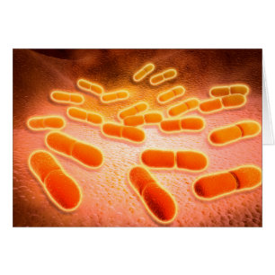 Vista microscópica de la listeriosis Monocytogene