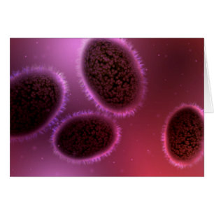 Vista Microscópica De La Muestra 2