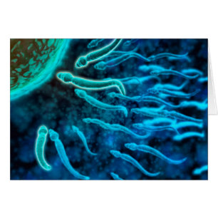 Vista microscópica de la natación de la esperma