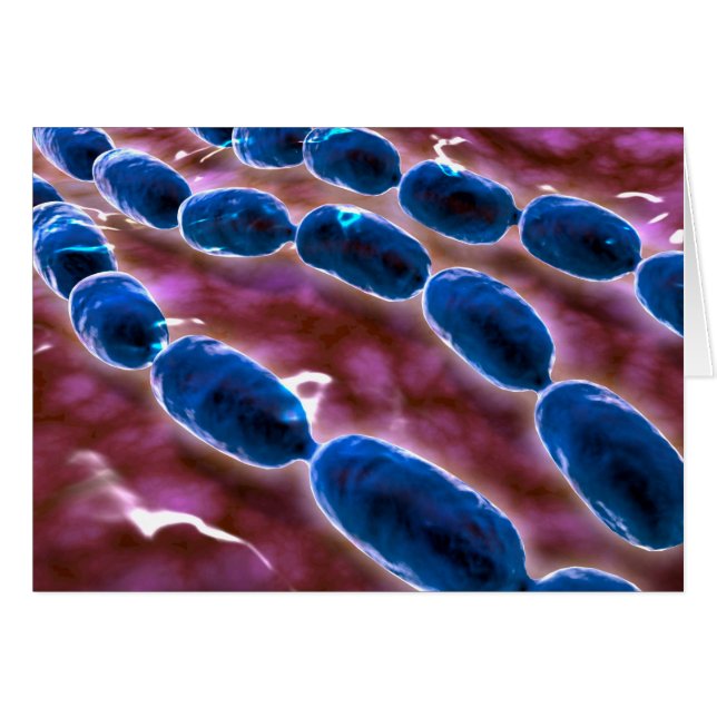 Vista Microscópica De La Neumonía Bacteriana 1 (Anverso (Horizontal))