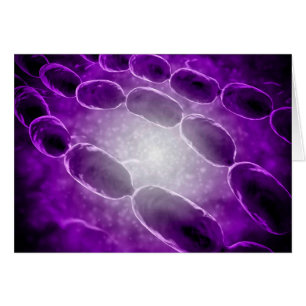 Vista Microscópica De La Neumonía Bacteriana 2