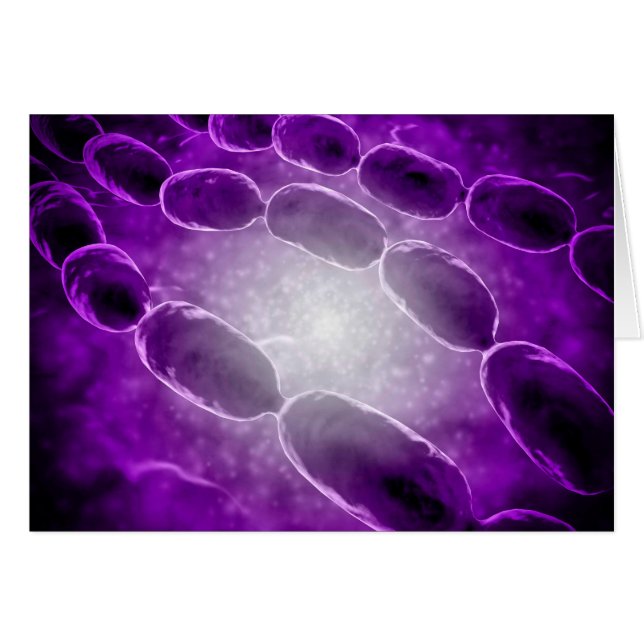 Vista Microscópica De La Neumonía Bacteriana 2 (Anverso (Horizontal))