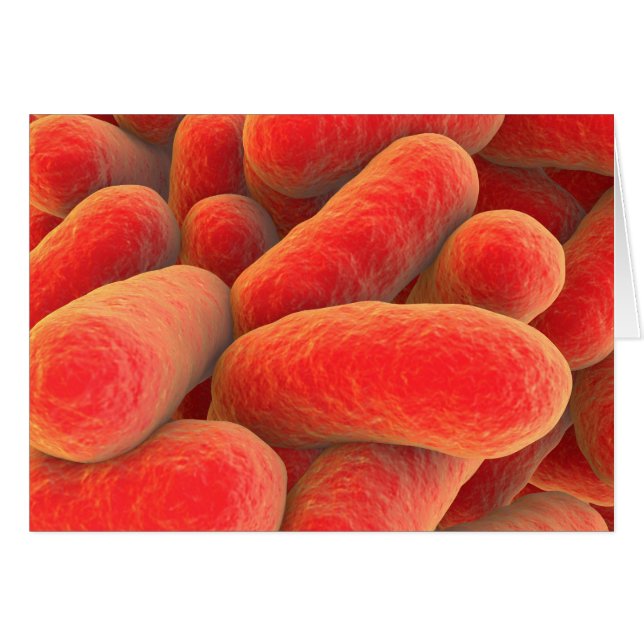 Vista Microscópica De Las Bacterias 4 (Anverso (Horizontal))