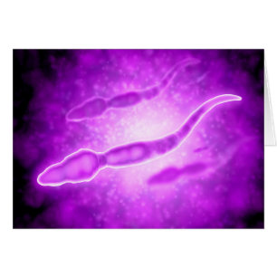 Vista microscópica de las células de esperma