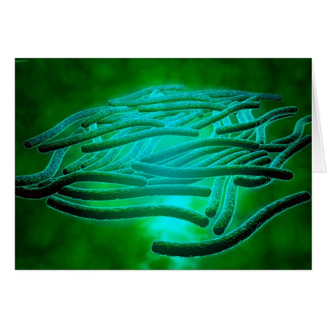 Vista Microscópica De Legionella Pneumophila 1 (Anverso (Horizontal))