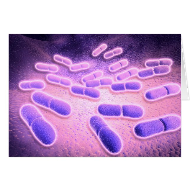 Vista Microscópica De Listeria Monocytogenes 2 (Anverso (Horizontal))