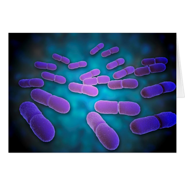 Vista Microscópica De Listeria Monocytogenes 5 (Anverso (Horizontal))