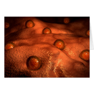 Vista Microscópica De Los Óvulos