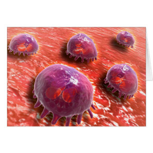 Vista Microscópica De Macrófagos Fhagocíticos 3