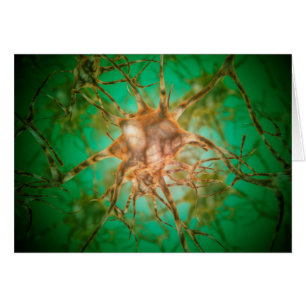 Vista Microscópica De Múltiples Células Nerviosas 