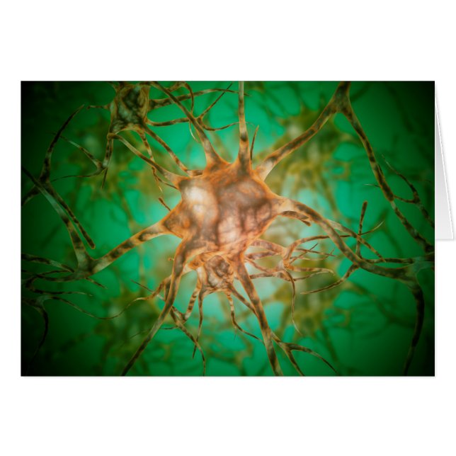 Vista Microscópica De Múltiples Células Nerviosas  (Anverso (Horizontal))