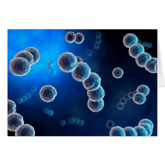 Vista Microscópica De Streptococcus 2 (Anverso (Horizontal))