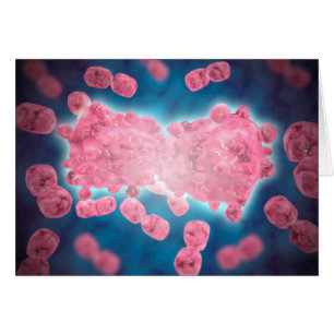 Vista Microscópica De Un Grupo De Células De Leuce