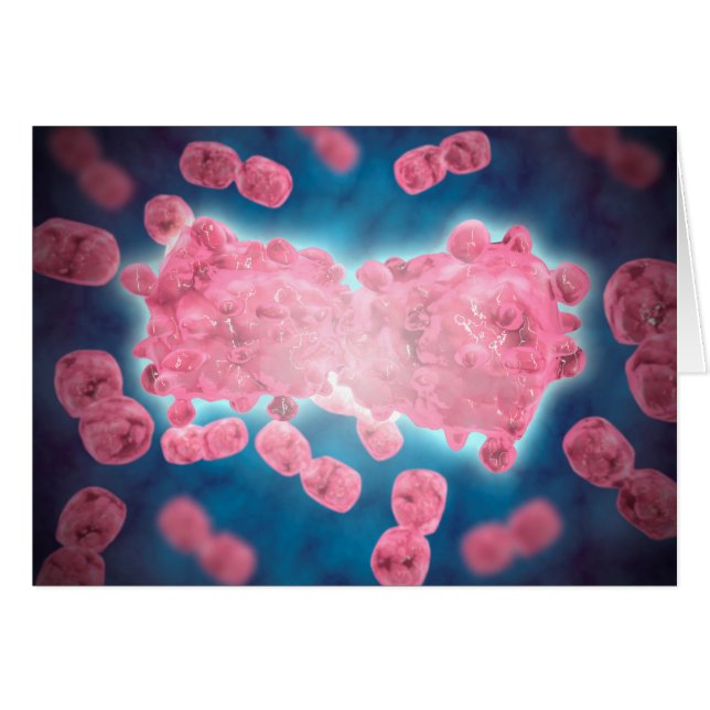 Vista Microscópica De Un Grupo De Células De Leuce (Anverso (Horizontal))