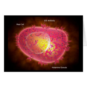 Vista Microscópica De Una Celda Mast