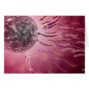 Vista Microscópica Del Baño De Esperma Hacia El Hu