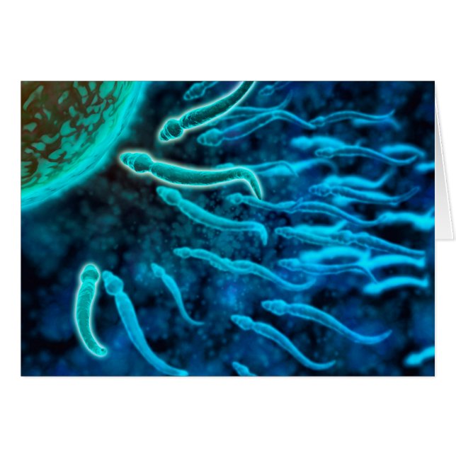 Vista Microscópica Del Baño De Esperma Hacia El Hu (Anverso (Horizontal))