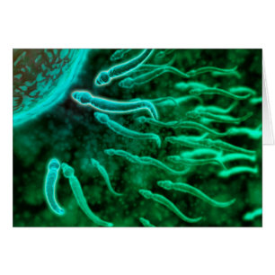 Vista Microscópica Del Baño De Esperma Hacia El Hu