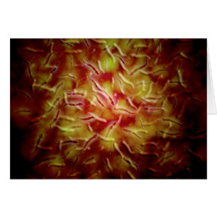 Vista Microscópica Del Esperma