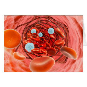 Vista Microscópica Del Flujo De Sangre Dentro De U