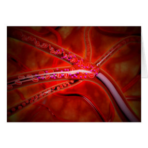 Vista Microscópica Del Medicamento Que Se Está Iny