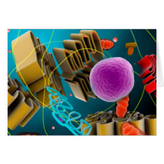 Vista Microscópica Del Núcleo Celular Animal