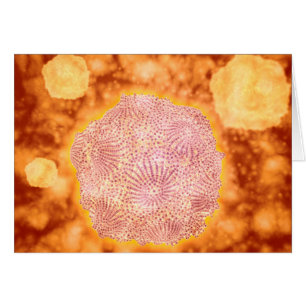 Vista Microscópica Del Parvovirus Canino 1