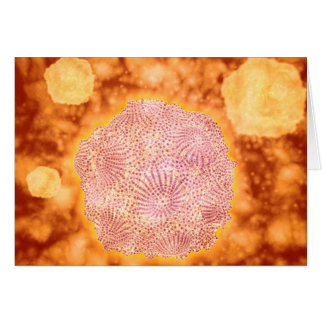 Vista Microscópica Del Parvovirus Canino 1 (Anverso (Horizontal))