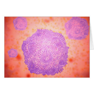 Vista Microscópica Del Parvovirus Canino 2