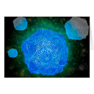 Vista Microscópica Del Parvovirus Canino 3