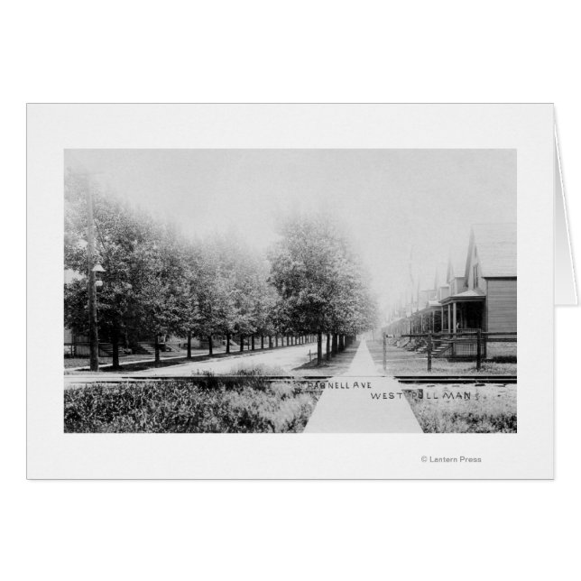 Vista occidental de la avenida Parnell (Anverso (Horizontal))