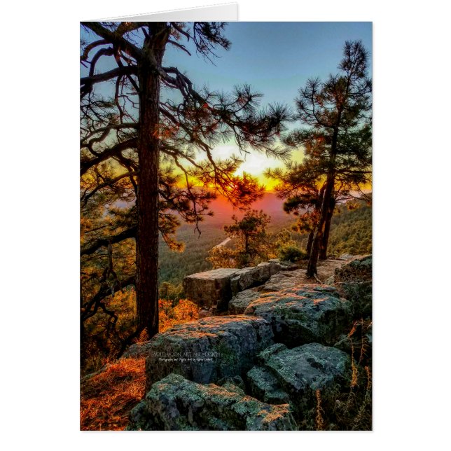 Vista panorámica del atardecer / Árboles de pino / (Frente)