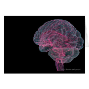 Vista posterior del cerebro humano