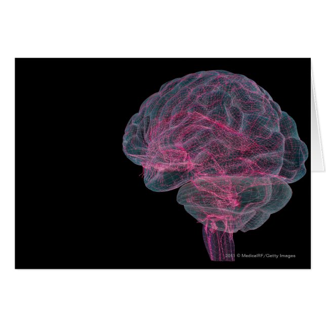 Vista posterior del cerebro humano (Anverso (Horizontal))