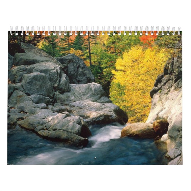 Vista que ve el calendario (Tapa)