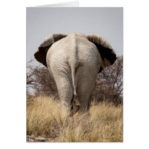 Vista trasera de elefante