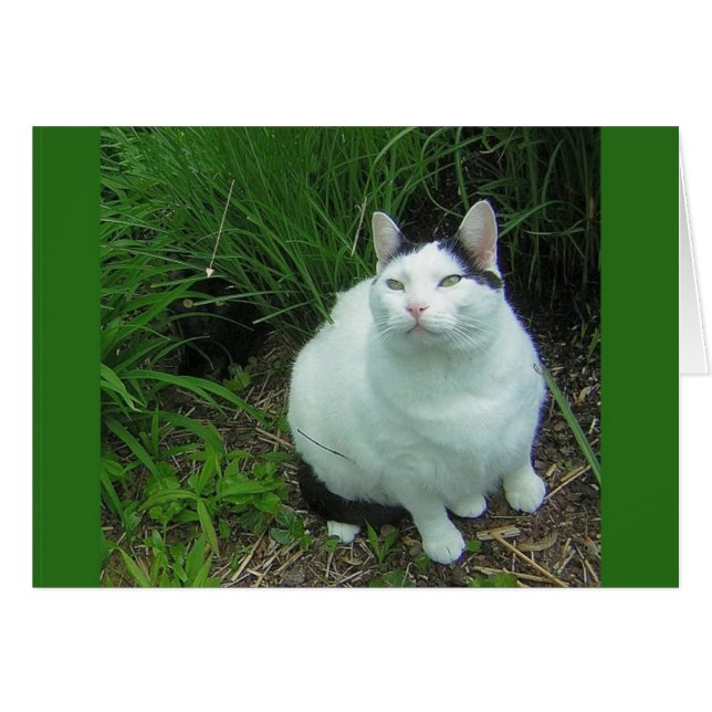 Vista WiLSoN y OVNI (Anverso (Horizontal))