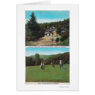 Vistas al campo de golf, a los cocoteros y a las c