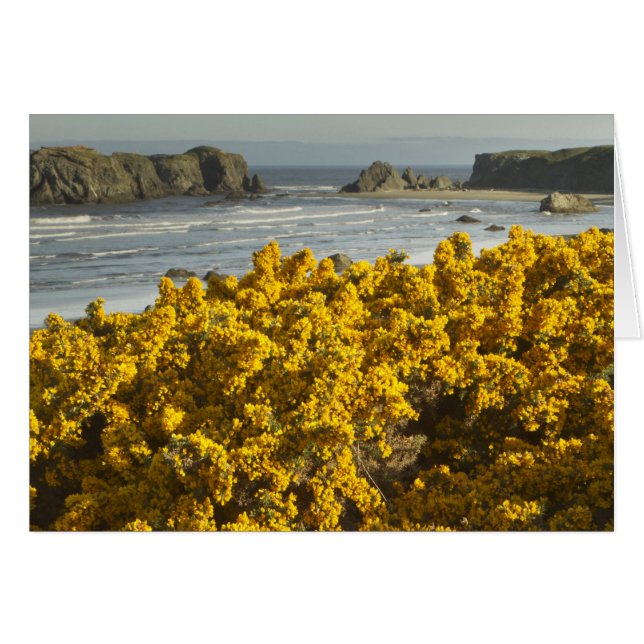 Vistas costeras, Bandon, Oregón (Anverso (Horizontal))