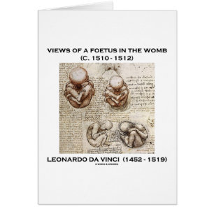 Vistas De Un Feto En El Vientre (Leonardo da Vinci