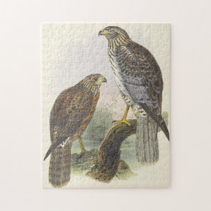 Vistazo, Dos Aves Puzzle