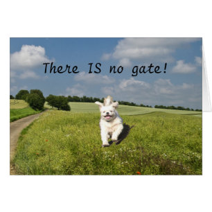 "Viva como…" ¡Tarjeta - versión budista (de la