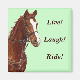 ¡Viva! ¡Ríe! ¡Viaja! Imán para refrigerador