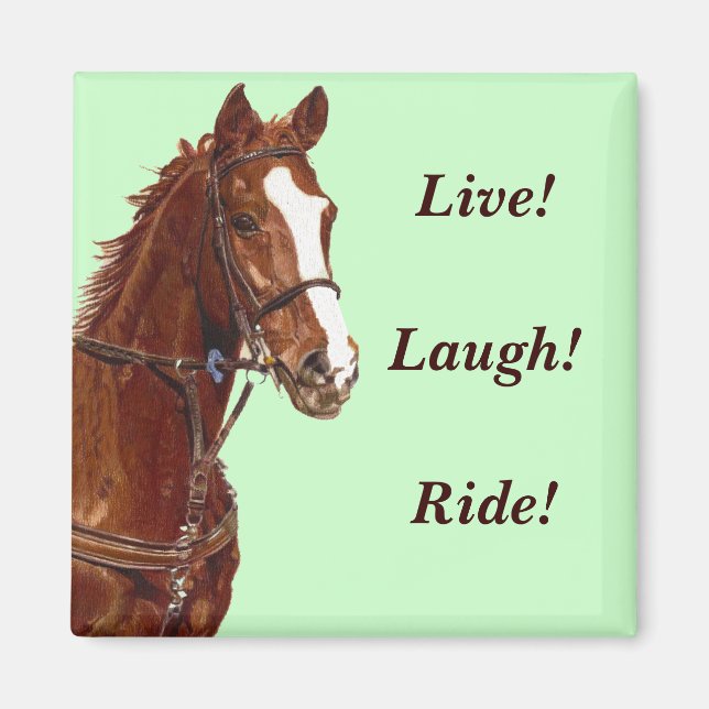 ¡Viva! ¡Ríe! ¡Viaja! Imán para refrigerador (Frente)