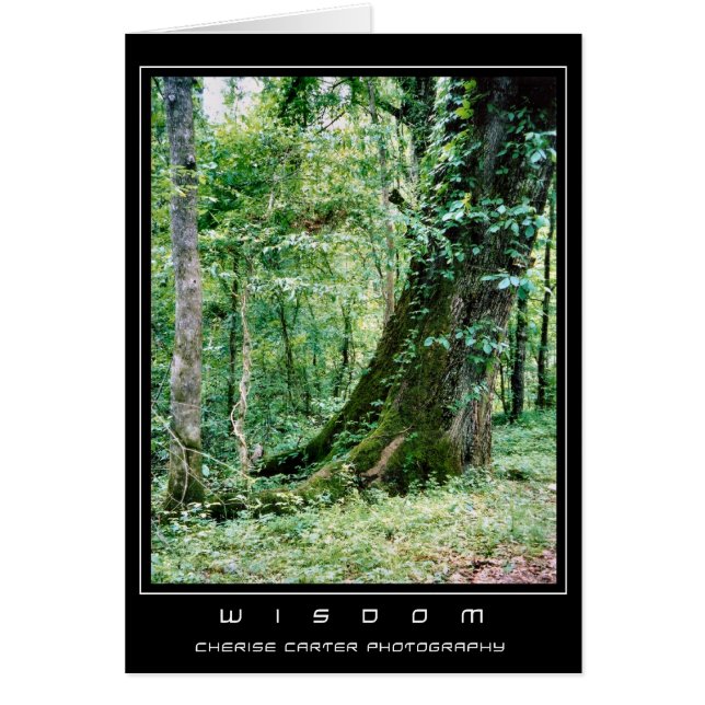 Viva y aprenda (Frente)