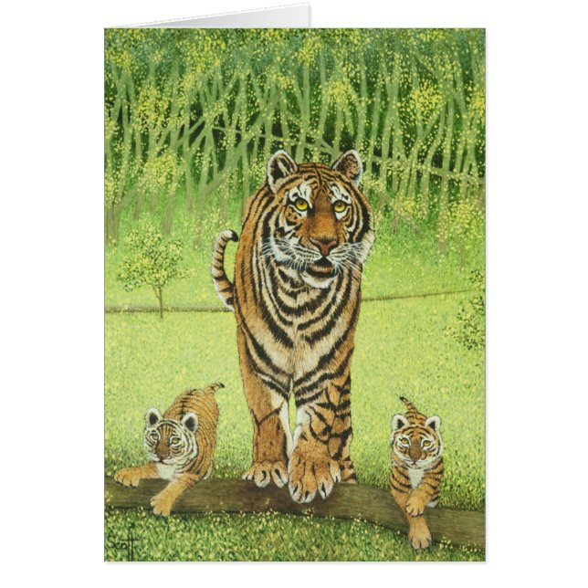 Viva y aprenda (Frente)