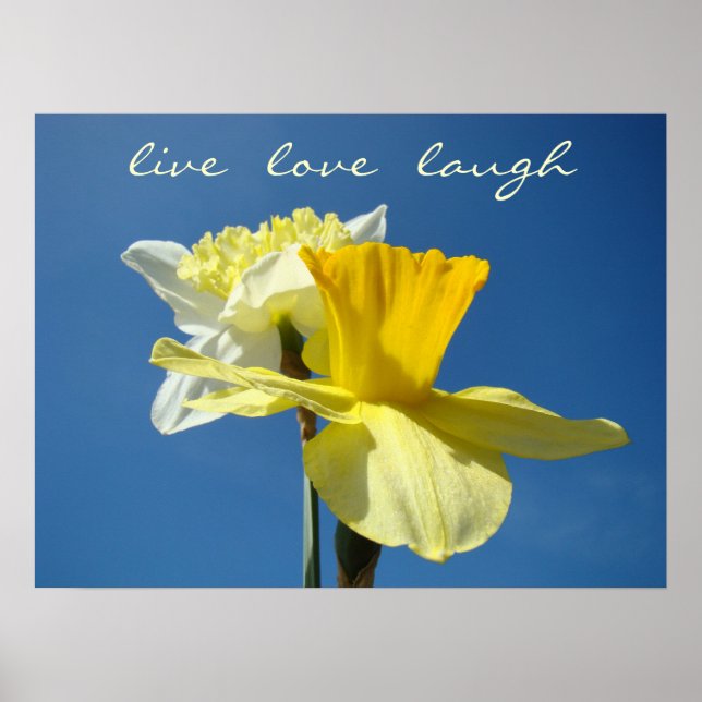 Vive Ama Ríe Arte decorativo Narcisos de primavera (Frente)