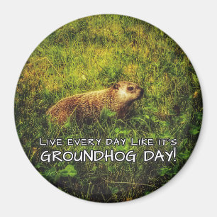 ¡Vive cada día como es día de la marmota! imán